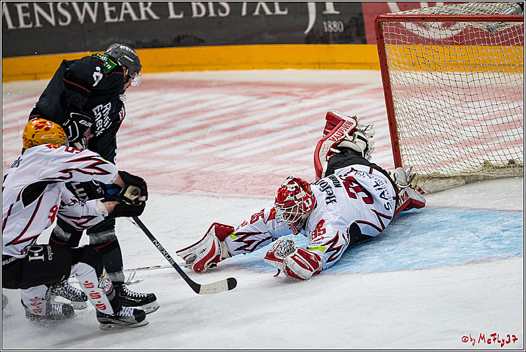 DEL, Koelner Haie - Fishtown Pinguins Bremerhaven, 29.01.2017